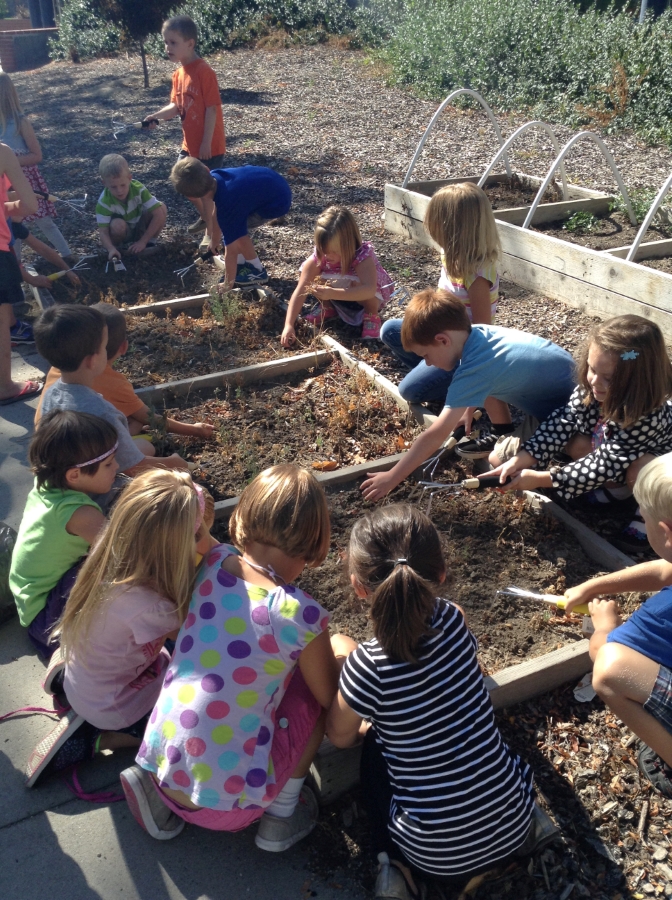 Montessori Program at Liberty 